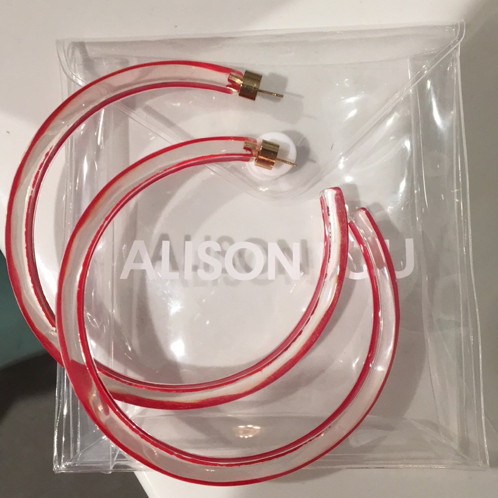 Alison Lou Jelly Hoops Loucite Large Never Worn